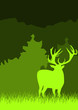 Hirsch im Wald