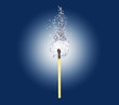 safety match burn watter flame