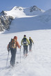 Im Aufstieg zur Wildspitze