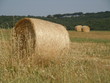 Rotolando verso nord