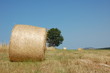 Palla di fieno