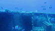Zenobia ship wreck with school of small silver fishes, Cyprus Zenobia ship wreck with school of small silver fishes, Cyprus