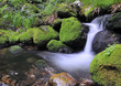 ����: Rio en Muniellos. � Javier Castro #33195717
