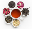 Black Tea in White Cup Black Tea in White Cup