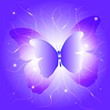 Abstract butterfly, eps10