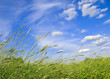 Foto: Windy day Windy day