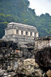 Looking through the ruins at Palenque.