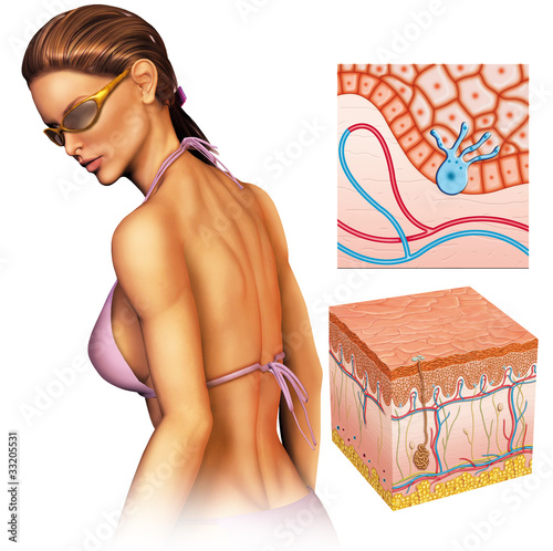 Illustration: bronceado bronceado