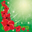 Summer background with red flowers Summer background with red flowers