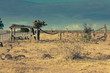 Outback Landscape