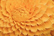 Fruit carving, Pumpkin carving details. Fruit carving, Pumpkin carving details.