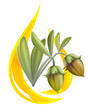 Jojoba oil. Stylized drop.