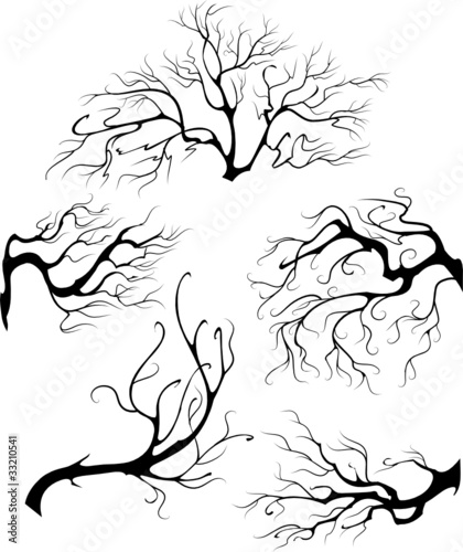 Tree Branch Svg