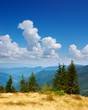 Summer landscape in mountains a sunny day
