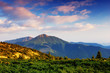 Summer landscape in mountains a sunny day