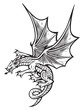 Image : dragon