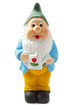 Garden dwarf