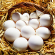 Foto: Eggs in basket Eggs in basket