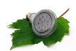 ledlampe auf ahornblatt