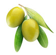 Green olives isolated on white Green olives isolated on white