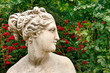 Kopf einer Venusstatue im Profil
