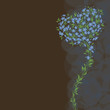 Greeting card with heart shaped bouquet. Forget-me-not.