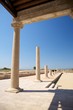 great column at portico