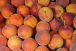 backgroung full of beautifull peaches
