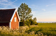 Red house and field.