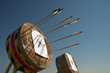 Training in archery on open air.