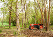 trattore tra gli alberi