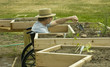 Photo: disabled gardener disabled gardener