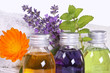 Massage, wellness with medical plants