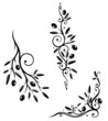 Oliven, Olivenzweige, Zweig, Küche, kochen, vector set