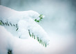 wintermärchen
