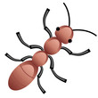 Vector ant Vector ant