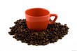 hot coffee
