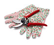 gardening scissors tool