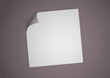 Feuille de papier corné