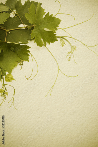 art  vintage style concept design for a wine list