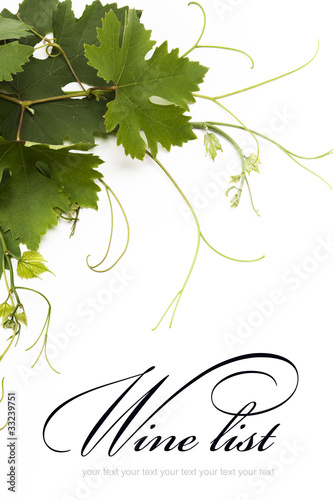 concept  wine list design