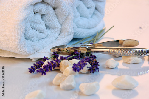 Photo: Nagelkneifer Nagelkneifer