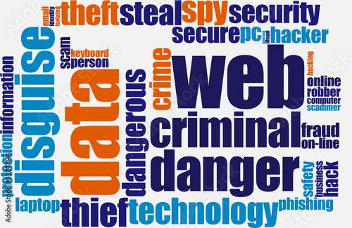 Illustration: Web fraud Web fraud