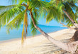 tropical beach with coconut palm tropical beach with coconut palm