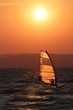 Surfer in the sunset at Balaton