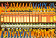 Orange terminal blocks