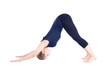 Photo en ligne au meilleur prix seventh step of surya namaskar Adho Mukha Svanasana