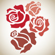 four red roses - sketch illustration