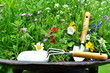 Gartenwerkzeug