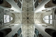 collegiale collegiale
